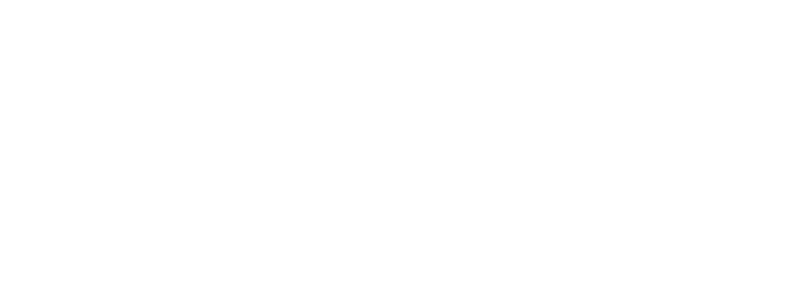 Custom_Logo_image