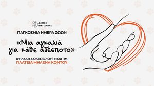 Εκδήλωση για την Παγκόσμια Ημέρα Ζώων από τον Δήμο Μυτιλήνης-image